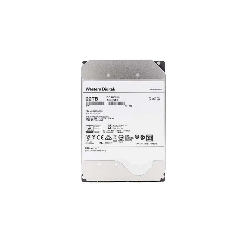 WD 22T SATA